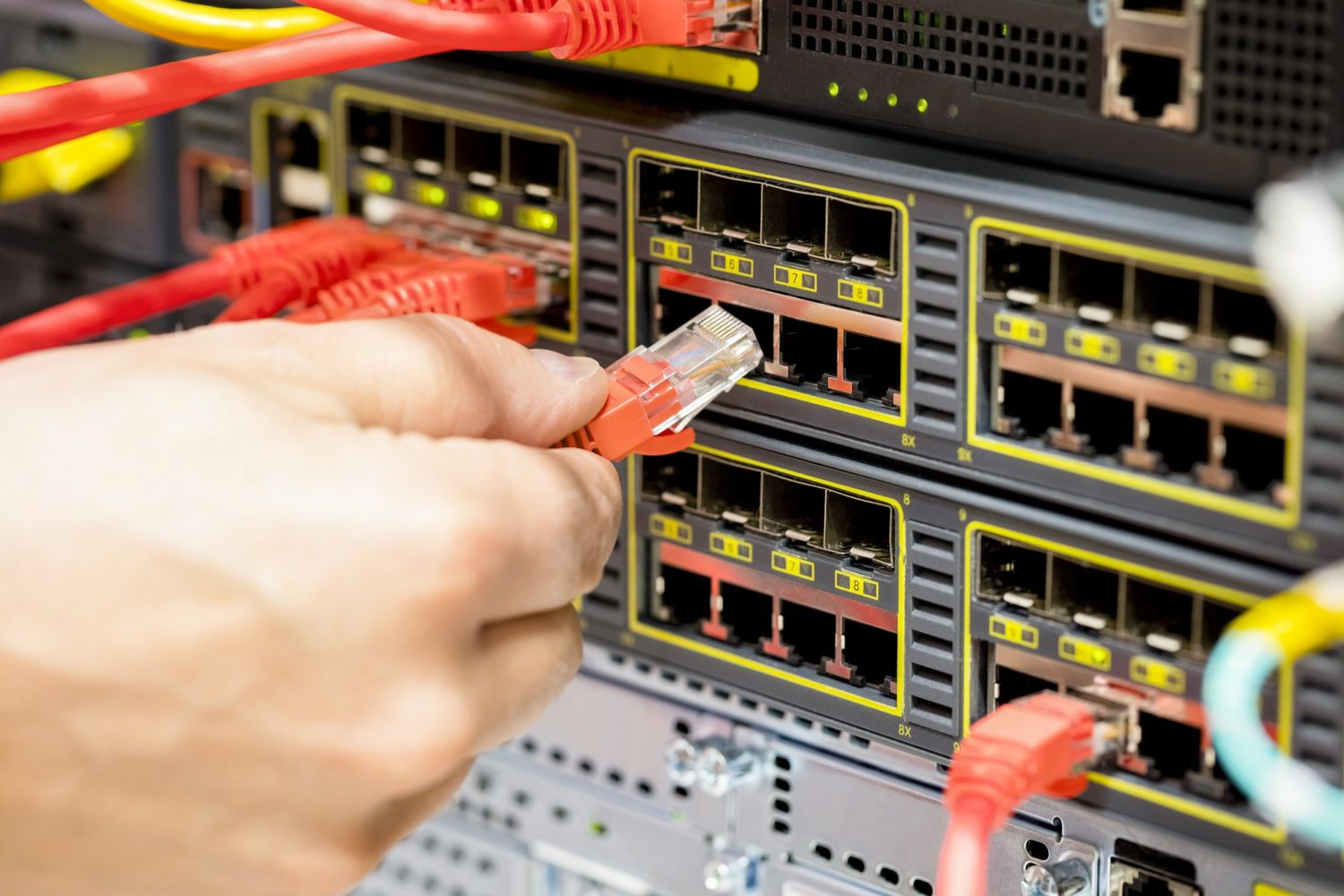 Online Bachelor in IT and Networking - Institut Avrio de Genève